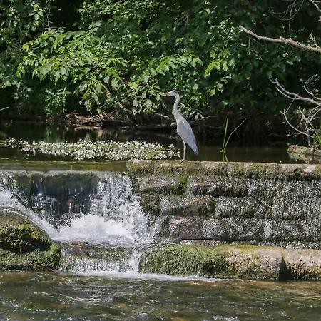 Ferienhaus The Orchard Outlook At Eamont Park *